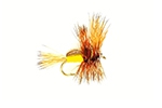 FM Humpy Yellow