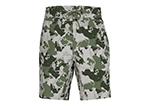 Seamount Board Shorts