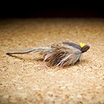 TFF Skater Mouse