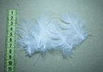 Перо цапля Fly Fishing Tales Heron Feather White