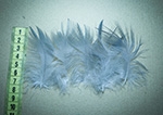 Перо цапля Fly Fishing Tales Heron Feather Grey