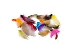 Wapsi Mallard Barred Flank LRG Select