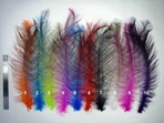 TFF RHEA Spey Hackle